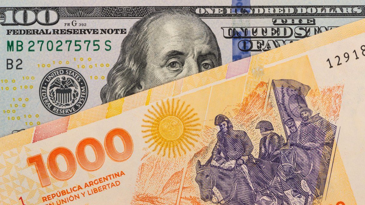 Dólar vs pesos: ¿qué rindió más en la segunda semana sin cepo?