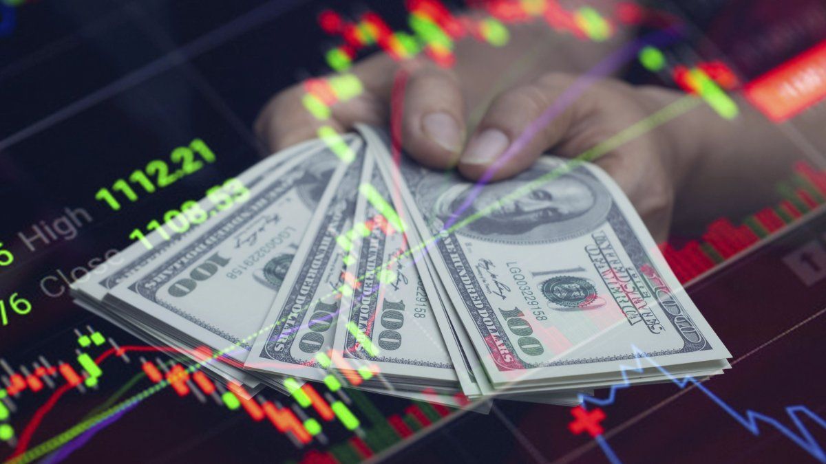 Dólar hoy y dólar blue hoy minuto a minuto: a cuánto opera este jueves 20 de noviembre